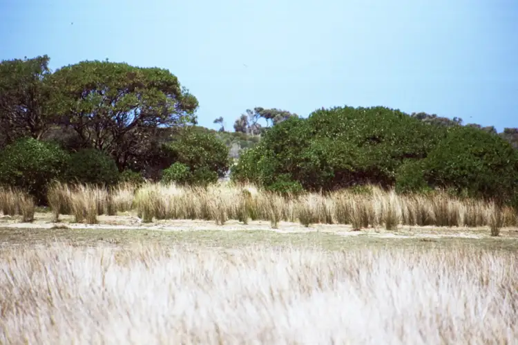 Sixth view of Homely land listing, . Lime Pit Road, Flinders Island TAS 7255
