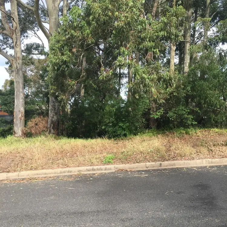Sixth view of Homely land listing, 115 Palana Street, Surfside NSW 2536