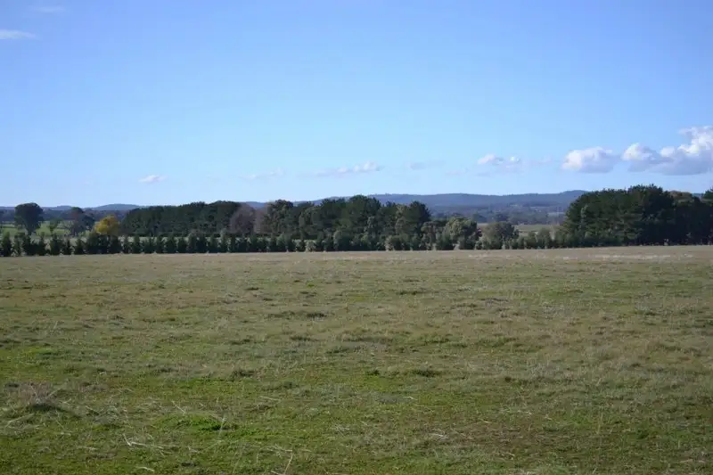 Main view of Homely rural property listing, 74 Craven Road, Rosewood NSW 2652