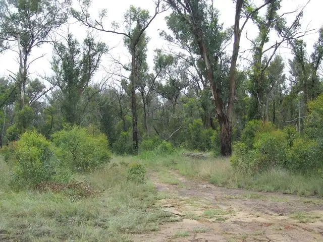 Third view of Homely land listing, 2906 Thunderbolts Way, Inverell NSW 2360