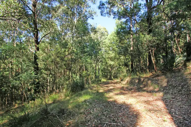 Sixth view of Homely land listing, Lot 4 Tallgums Way, Surf Beach NSW 2536