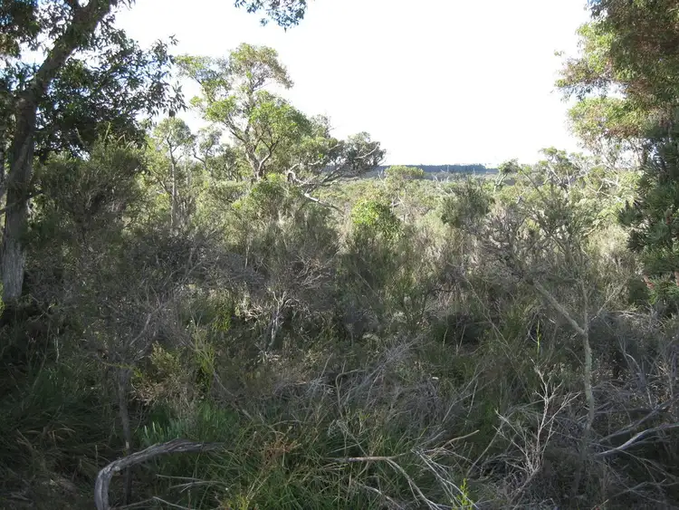 Fifth view of Homely rural property listing, Lot 51 Granite Hill Road, Napier WA 6330