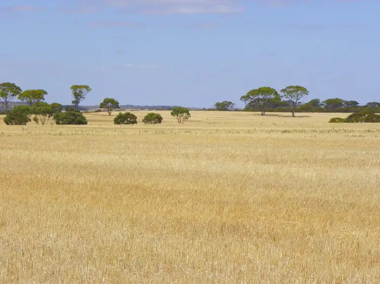 Lot 1761 Needilup Road, Pingrup WA 6343