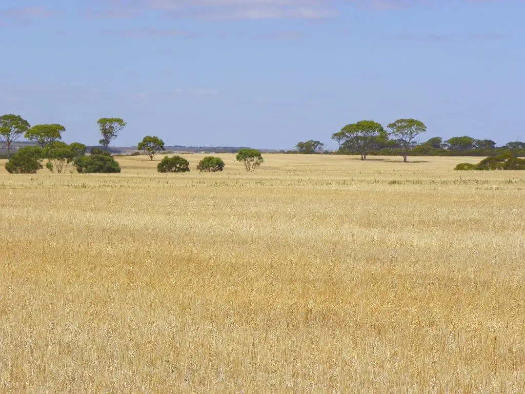 Main view of Homely rural property listing, Lot 1761 Needilup Road, Pingrup WA 6343