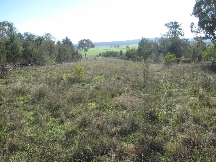 Seventh view of Homely rural property listing, 615 "Wilga Park" Caloola Rd, Boggabri NSW 2382