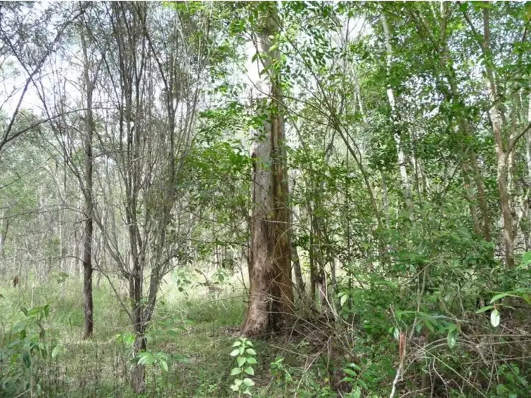 Third view of Homely land listing, lot 19 and 20 Creevey Drive, Captain Creek QLD 4677