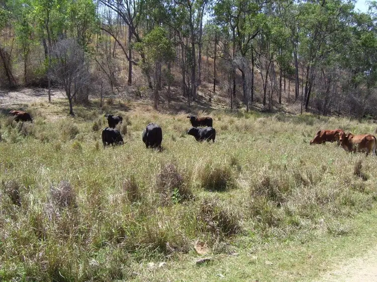 Fourth view of Homely rural property listing, 99 Coes Road, Gin Gin QLD 4671