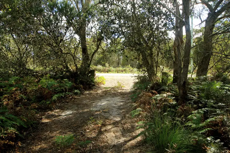 Fourth view of Homely land listing, 1132 North Ansons Road, Ansons Bay TAS 7264