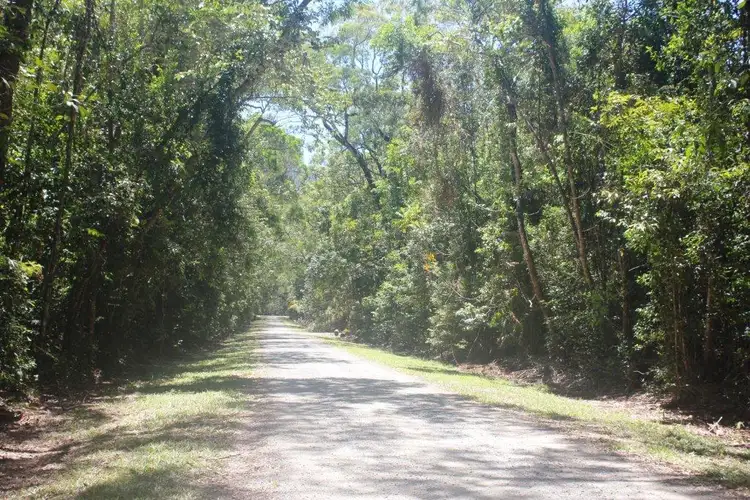 195 Bloodwood Road COW BAY, Daintree QLD 4873