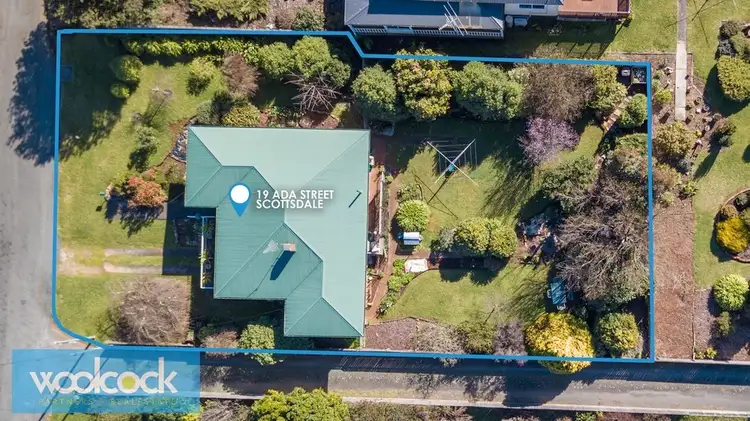 Main view of Homely house listing, 19 Ada Street, Scottsdale TAS 7260