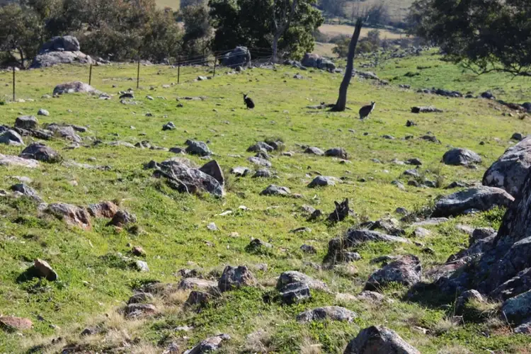 Seventh view of Homely rural property listing, Address available on request