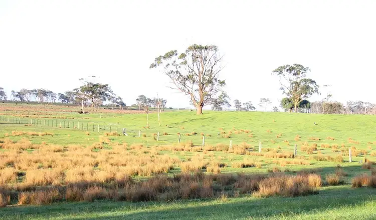 Third view of Homely rural property listing, 1642 South Gippsland Highway, Woodside VIC 3874