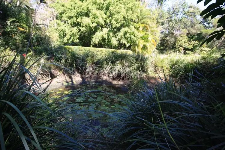 Seventh view of Homely house listing, 2714 Old Gympie Road, Beerwah QLD 4519