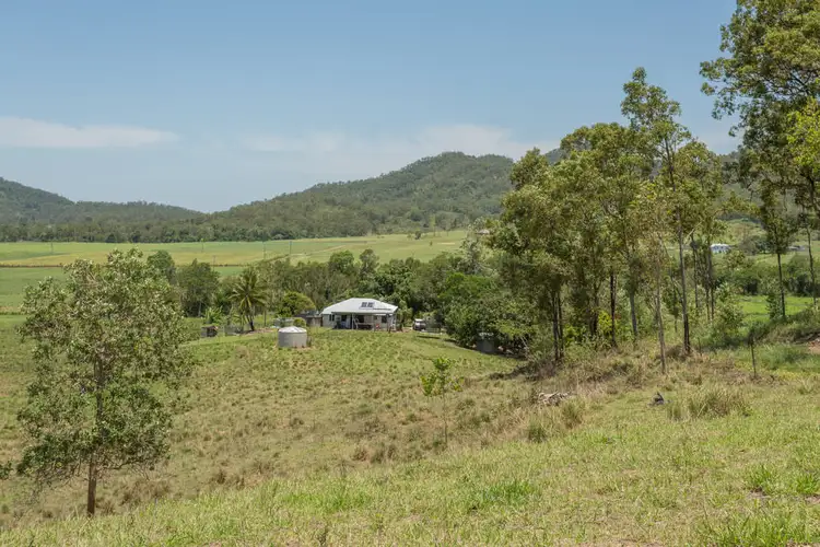 Seventh view of Homely rural property listing, 168 Sams Road, Dows Creek QLD 4754