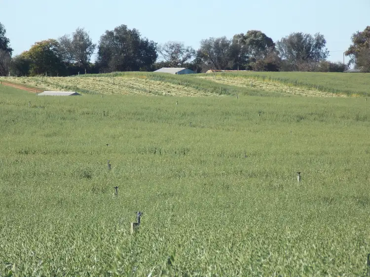 Third view of Homely land listing, Section 705 & Lot 10 Gratwick Road, Loxton SA 5333