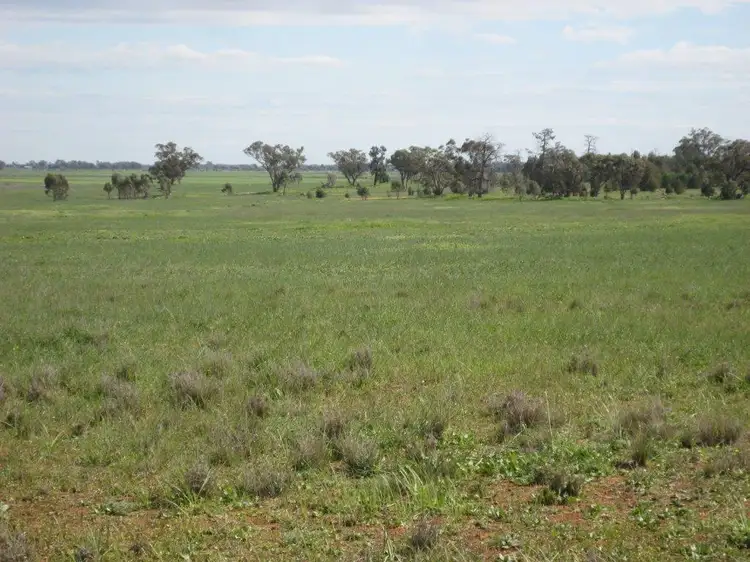 Second view of Homely rural property listing, Farms 86F, 86G, 86H & 86I Hulong Road, Whitton NSW 2705