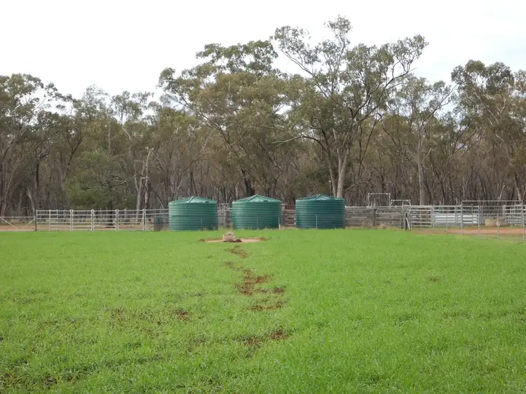 Sixth view of Homely rural property listing, 2097 Burraway Road, Narromine NSW 2821