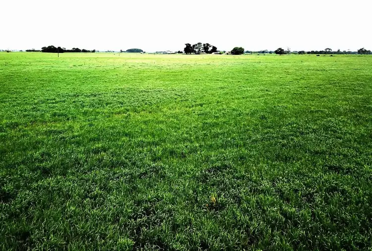 Seventh view of Homely rural property listing, Address available on request