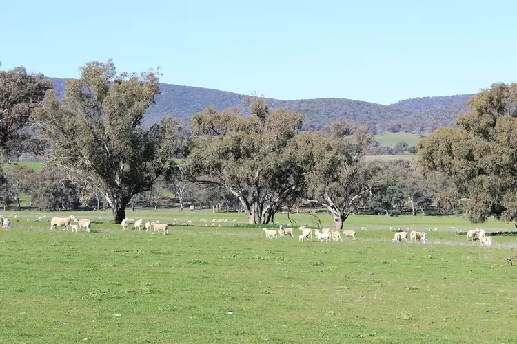 Second view of Homely rural property listing, 1520 Loombah Road, Yeoval NSW 2868