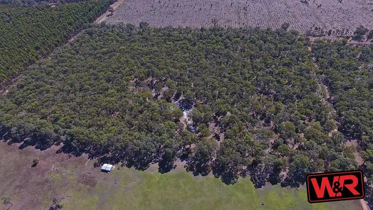 Seventh view of Homely rural property listing, 368 Narrikup Road, Narrikup WA 6326