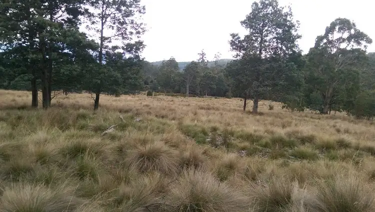 Fifth view of Homely rural property listing, lot 22822-600 Mt Barrow Road, Nunamara TAS 7259