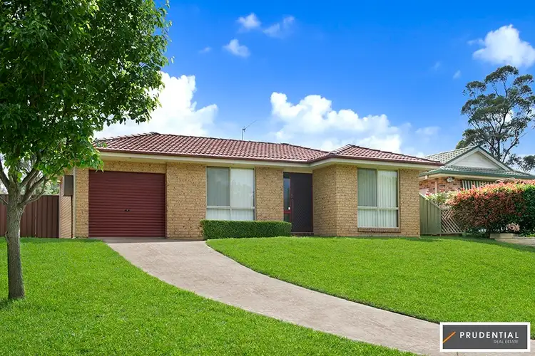 6 Moran Place, Currans Hill NSW 2567