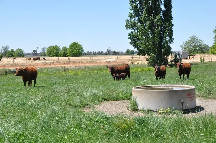 Second view of Homely rural property listing, 4950 Barmah-Shepparton Rd, Bunbartha VIC 3634