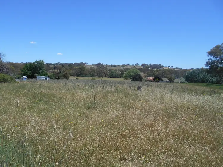 Seventh view of Homely rural property listing, 4701 Olypmic Highway, Young NSW 2594