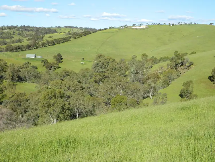 Fifth view of Homely land listing, Lots 36 & 40 Riggs Road, Bibaringa SA 5118