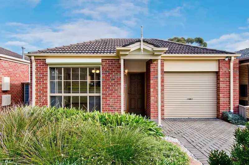 Main view of Homely house listing, 14A Sunhaven Avenue, Athelstone SA 5076