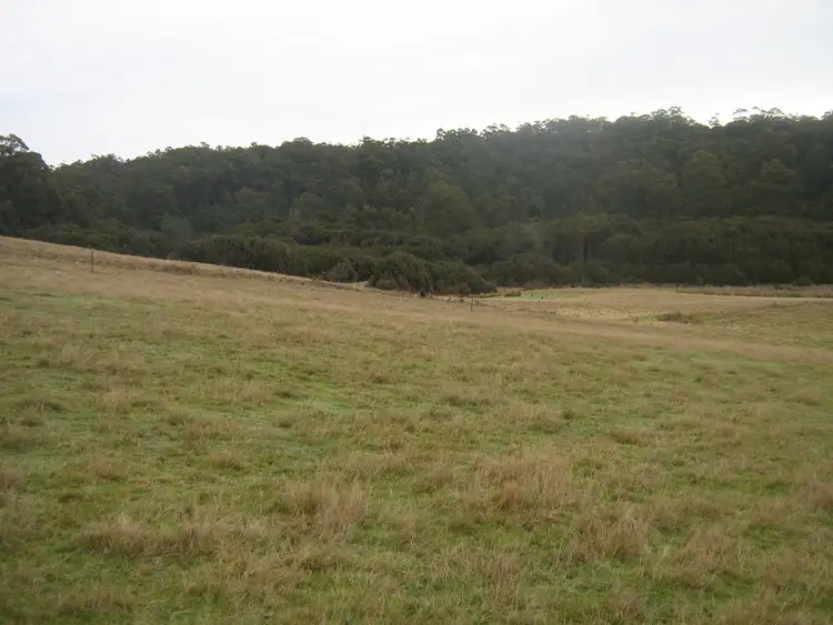 Fourth view of Homely rural property listing, 64 Loyetea Road, South Riana TAS 7316