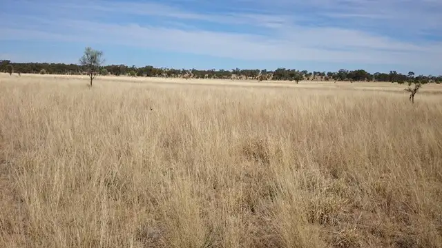 Sixth view of Homely land listing, 1408 ORALLO ROAD, Bungeworgorai QLD 4455