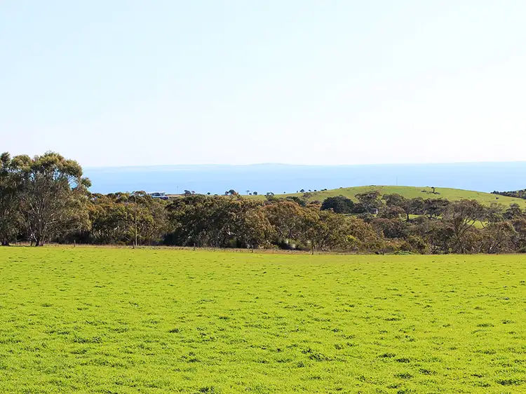 Fourth view of Homely rural property listing, Allotment 2, 9058 Main South Rd, Delamere SA 5204
