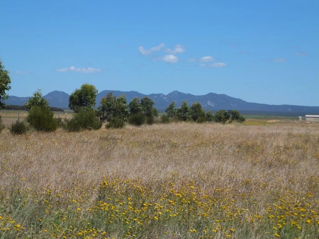 Main view of Homely land listing, Lot 704 Platypus Rd, Hopetoun WA 6348