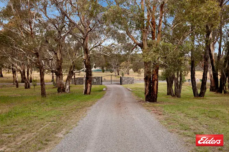 Third view of Homely house listing, 1371 Sutton Road, Sutton NSW 2620