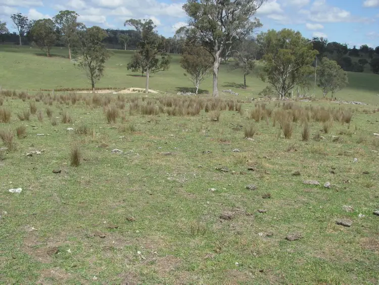 Fourth view of Homely rural property listing, 197 Spring Camp   road, Enmore NSW 2350