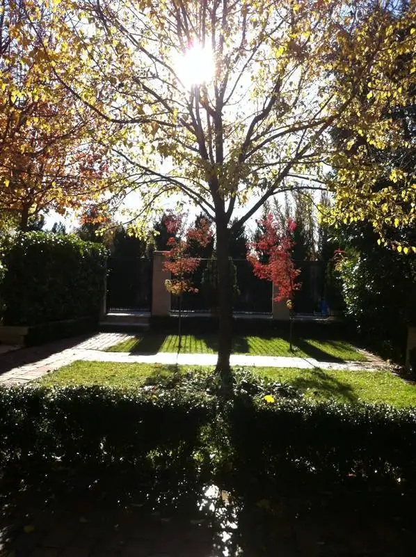 Seventh view of Homely house listing, 227 Bentinck Street, Bathurst NSW 2795