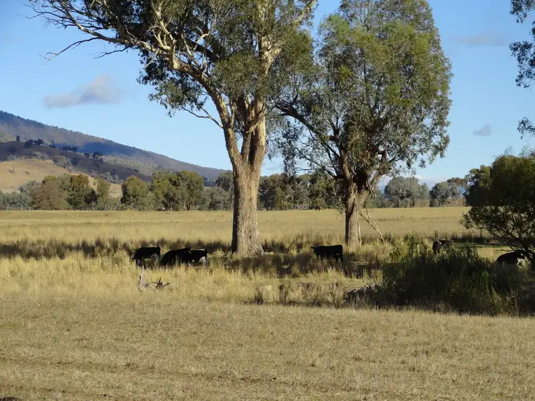 Third view of Homely rural property listing, 1817 Gundowring Road, Gundowring VIC 3691