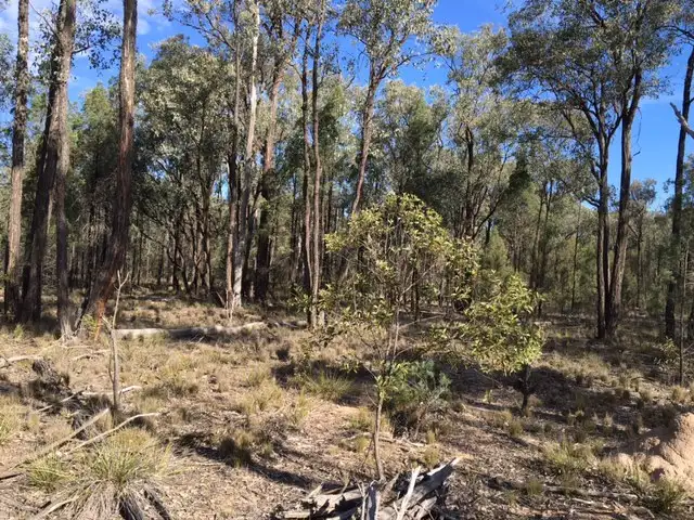 Lot 75 WEST VALLEY ROAD, Tara QLD 4421