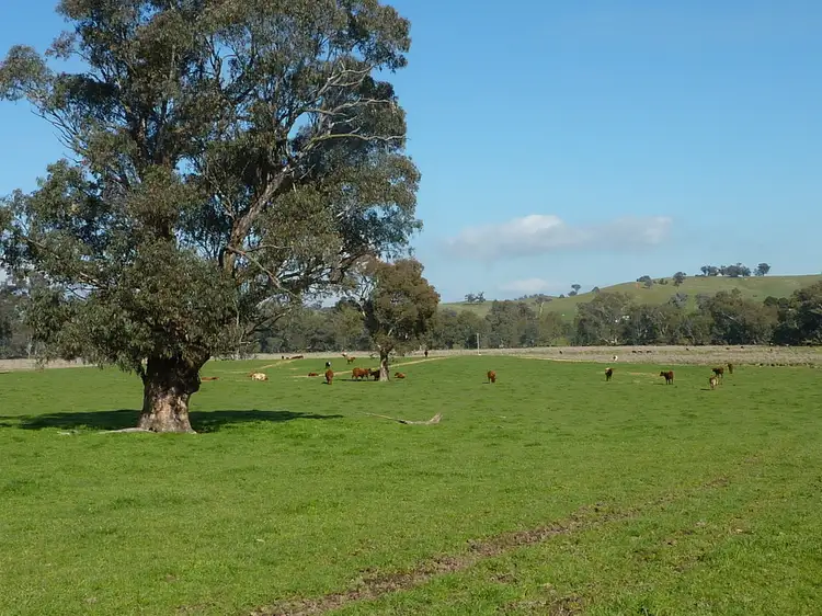 Main view of Homely rural property listing, 750 Humula Road ,Humula, Wagga Wagga NSW 2650