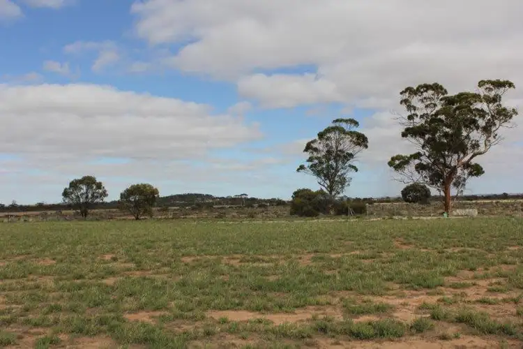 Second view of Homely rural property listing, Lot 55 Fitzpatrick Road, Hines Hill WA 6413