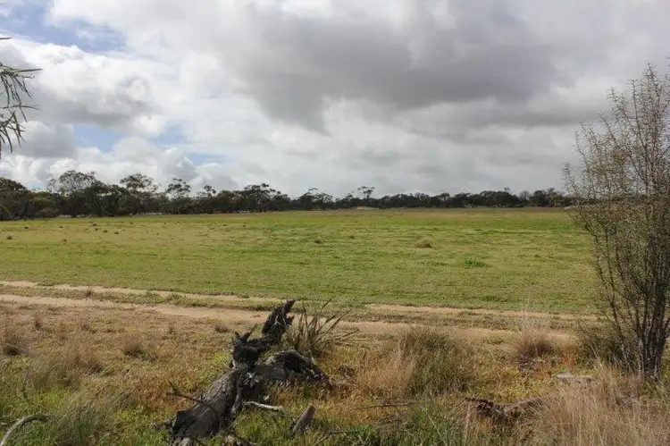 Third view of Homely house listing, Lot 50 Chandler-Merredin Road, Merredin WA 6415