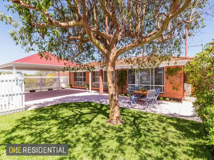 Main view of Homely house listing, 13 Bellairs Road, Kardinya WA 6163