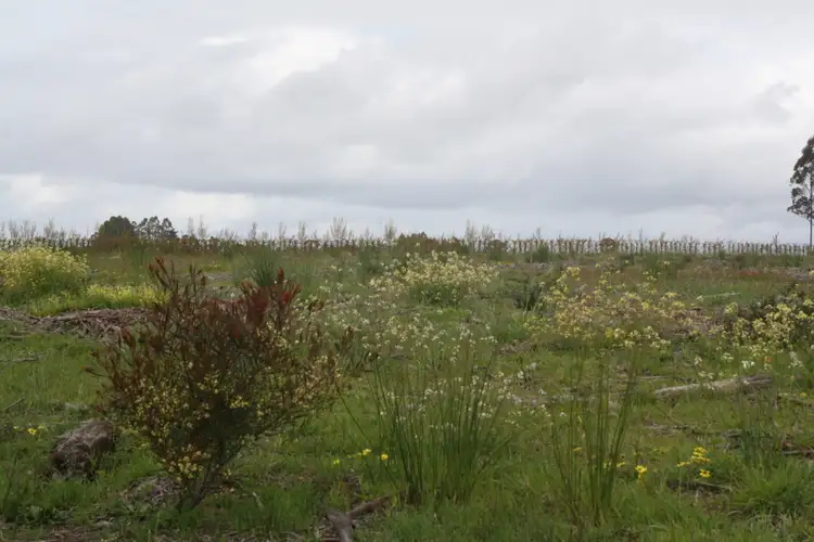 Lot 6 South Western Highway, Manjimup WA 6258