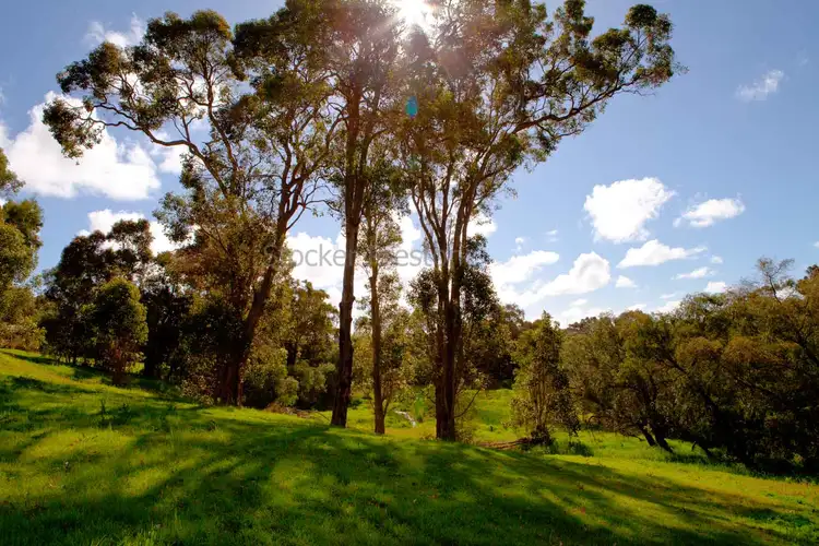 Fifth view of Homely house listing, 3/15 Wildbrook Place, Yallingup WA 6282