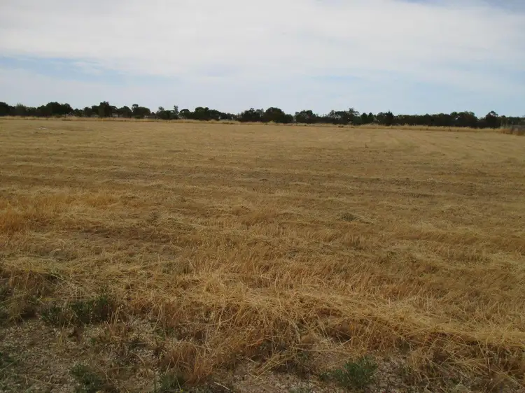 Seventh view of Homely land listing, Lot 31 Big Olive Grove, Tailem Bend SA 5260