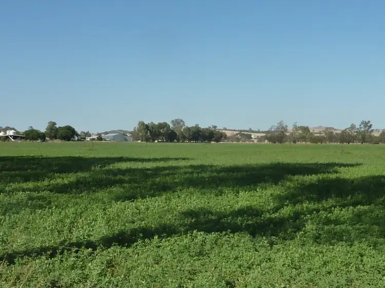 Third view of Homely rural property listing, 1528 Sturt Highway, Borambola via, Wagga Wagga NSW 2650