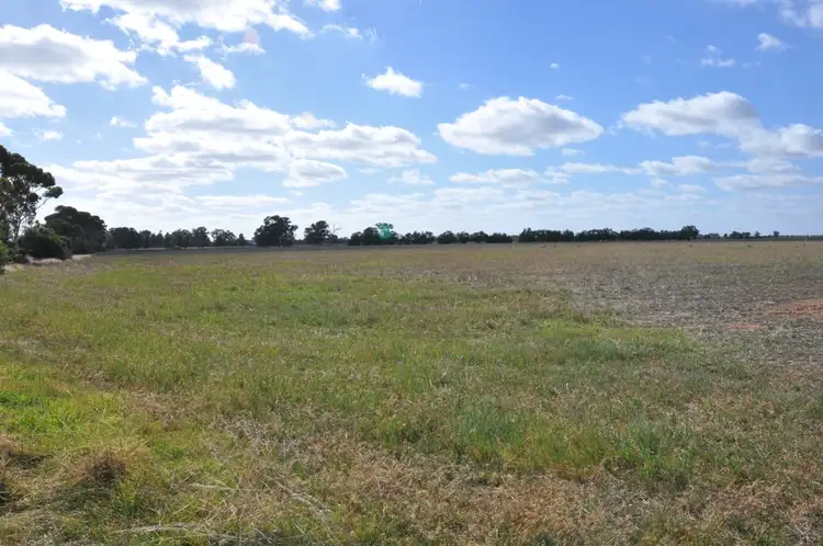 Second view of Homely rural property listing, 71 Picola South Road, Picola VIC 3639