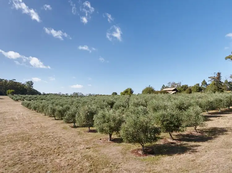 Third view of Homely rural property listing, 2670 West Tamar Highway, Exeter TAS 7275