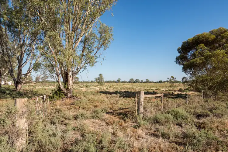 Fifth view of Homely rural property listing, Lot 4 Cootamundra Avenue, Red Cliffs VIC 3496